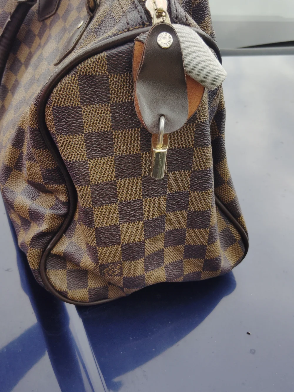 Louis Vuitton stylish brown